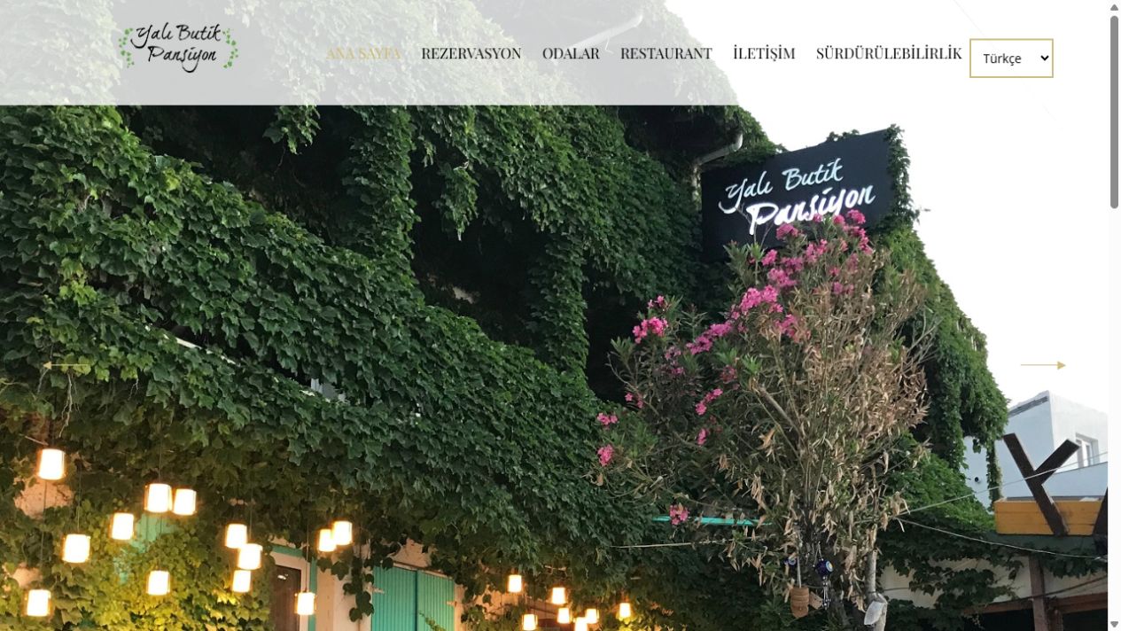 Otel web paketi